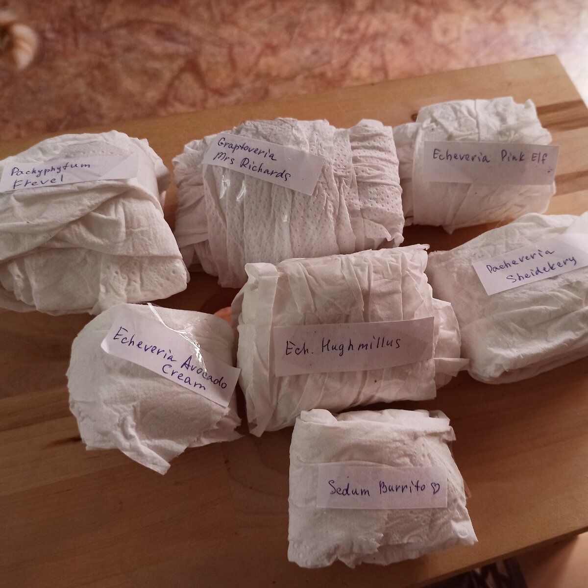 Упакованные растения