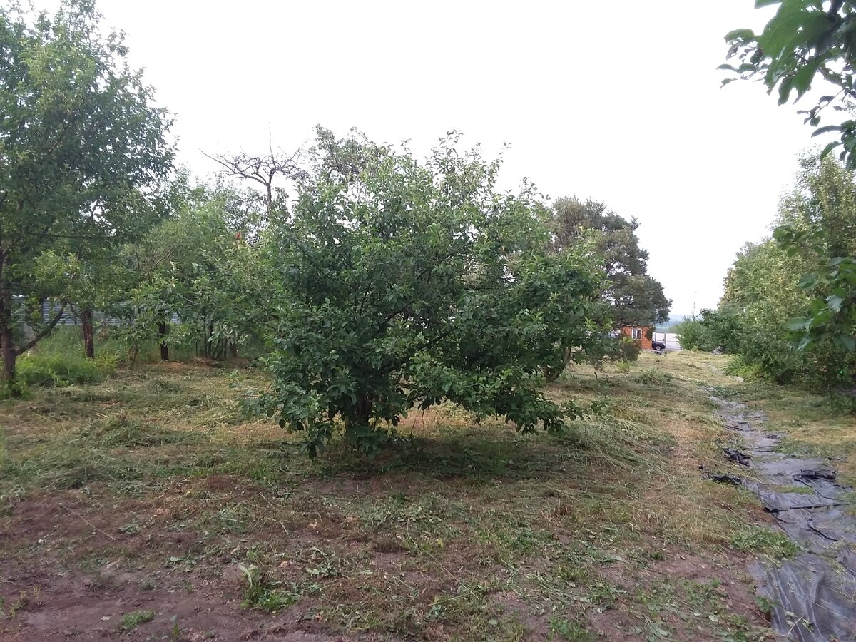 -1-2