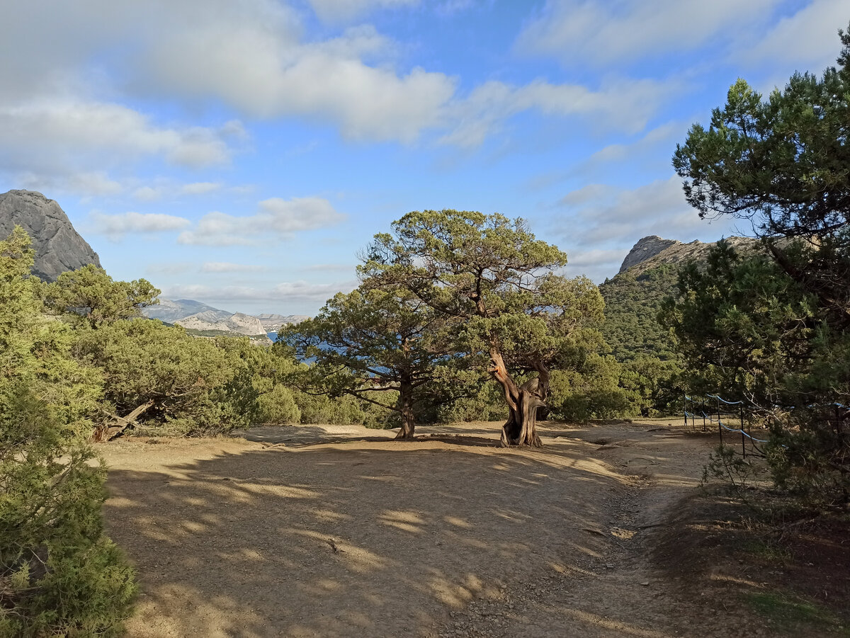 Фото автора, 