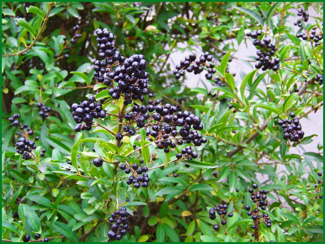 Фото из Яндекс.Картинки