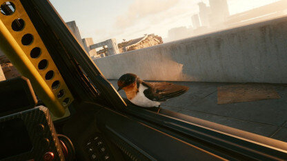 Кадр из игры.