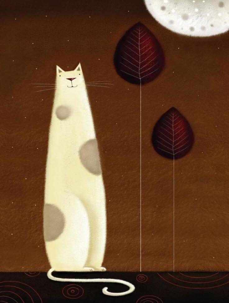 Перри,снова кот..