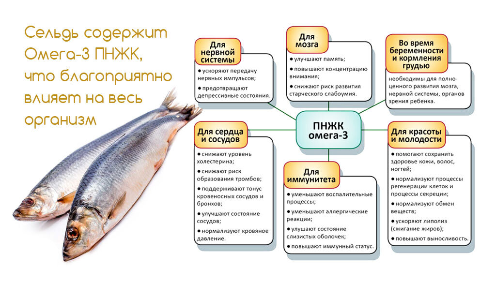 Без этой рыбы на диету не сяду: срочно покупаем скумбрию, и худеем со вкусом