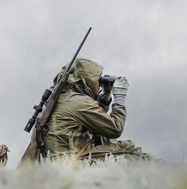 В поисках дичи