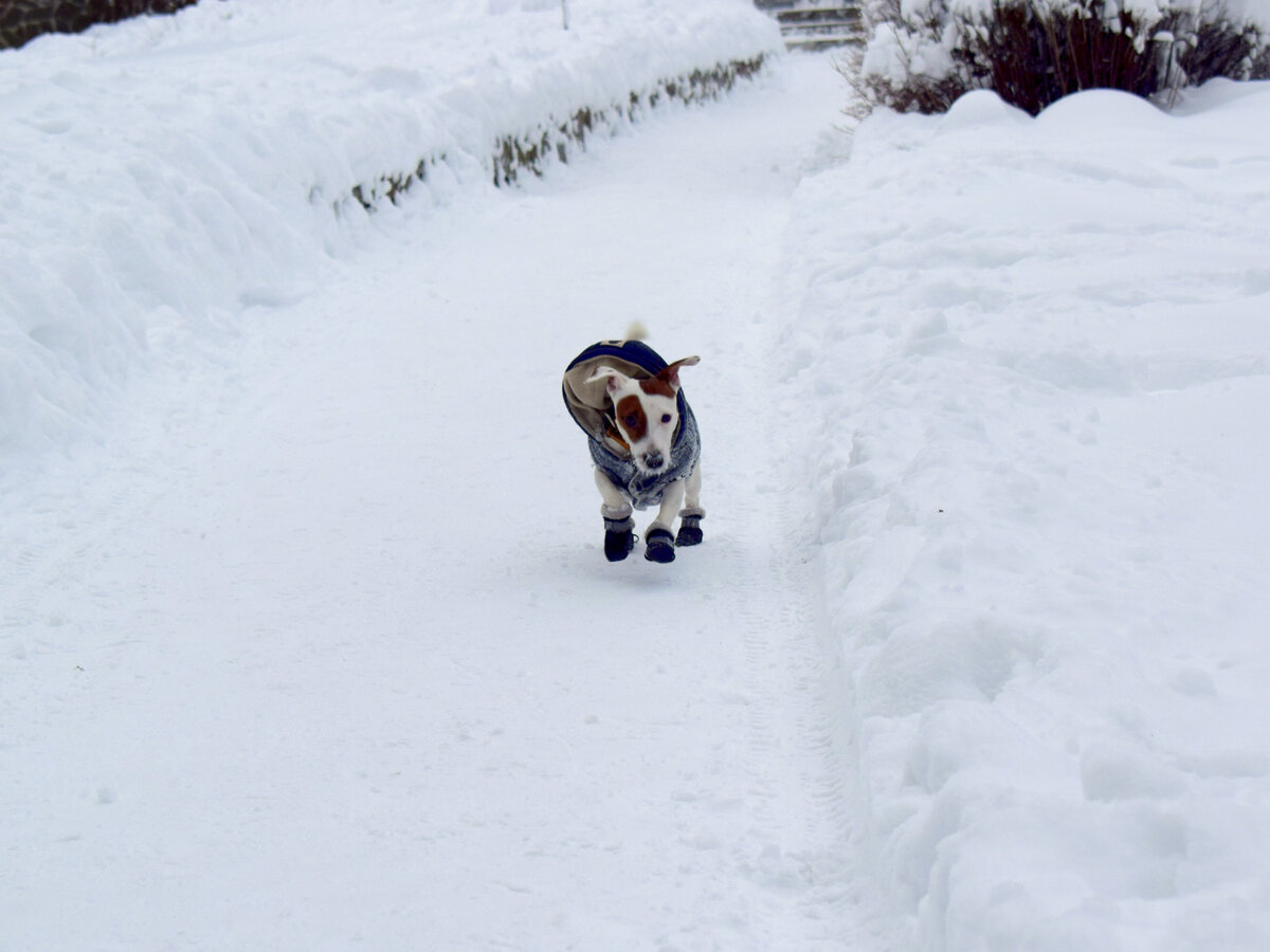 Суперхироу!