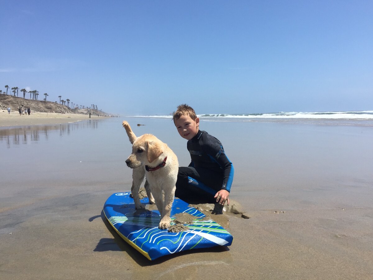 На собачьем пляже Huntington Dog Beach.