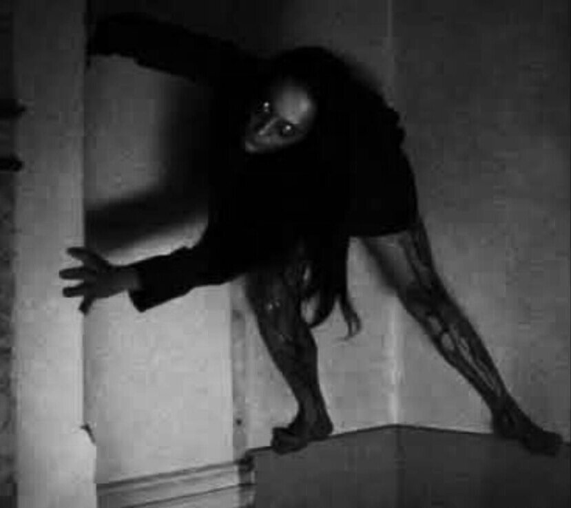 Я приподнялся с кровати в темноте. Какой-то шум вырвал меня из объятий сна. Я потянулся к тумбочке, чтобы развернуть будильник. На нем тускло светились цифры: 03:00. Я простонал. Сейчас я должен был сладко спать. Забыв, что заставило меня проснуться, я отвернулся к стене и поудобнее устроился в постели, когда звук раздался вновь — глухое шлепанье шагов на чердаке, прямо надо мной, громкий и намеренный. Как будто кто-то разгуливает по чердаку и хочет заявить о своем присутствии. Я вскочил с постели, сердце мое бешено стучало. Кто-то был в моем доме.