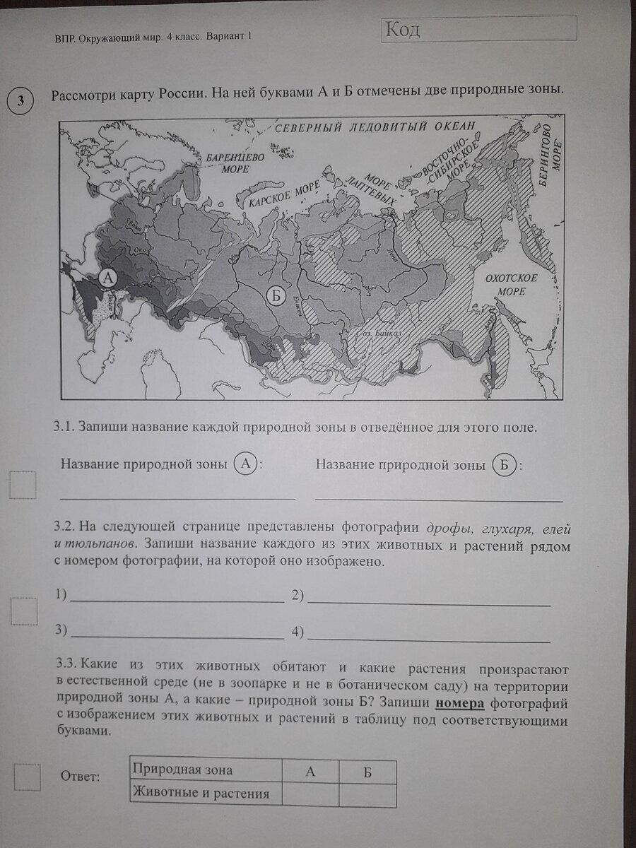 Запиши названия природных зон впр 4