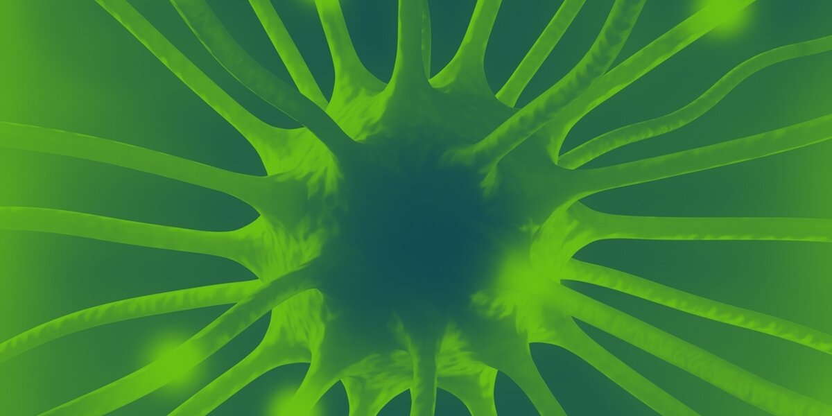 Интернет находится на грани самосознания? 