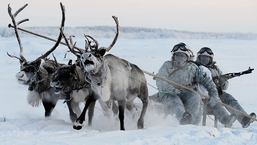 Бойцы арктической бригады ВС РФ. Источник фото: https://www.gazeta.ru/army/photo/voiska_severnogo_flota_proveli_ucheniya_s_olenyami_i_laikami.shtml