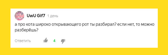 Наверное подписчик уже решил, что «МемПро» забыл упомянуть его комментарий в подборке.