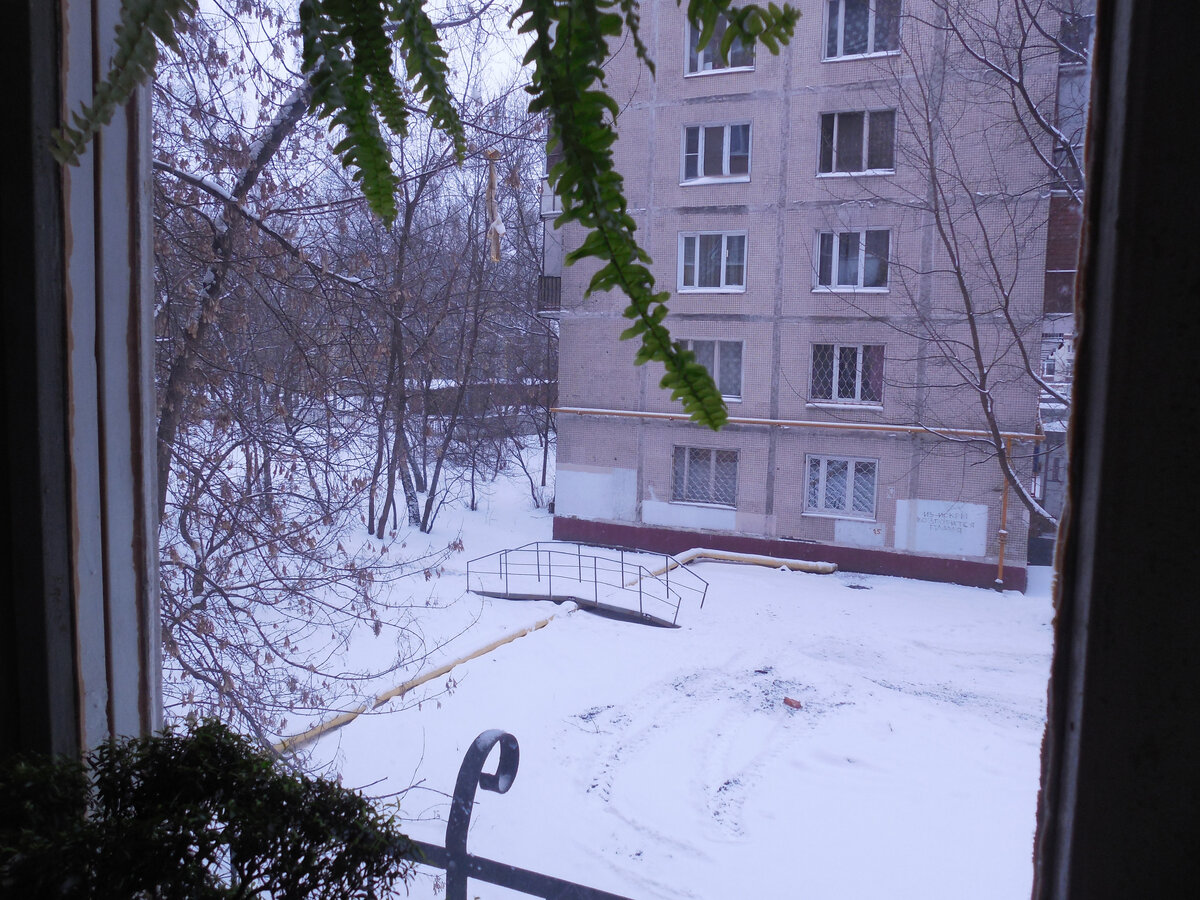 Эта труба одну из зим красовалась месяца два