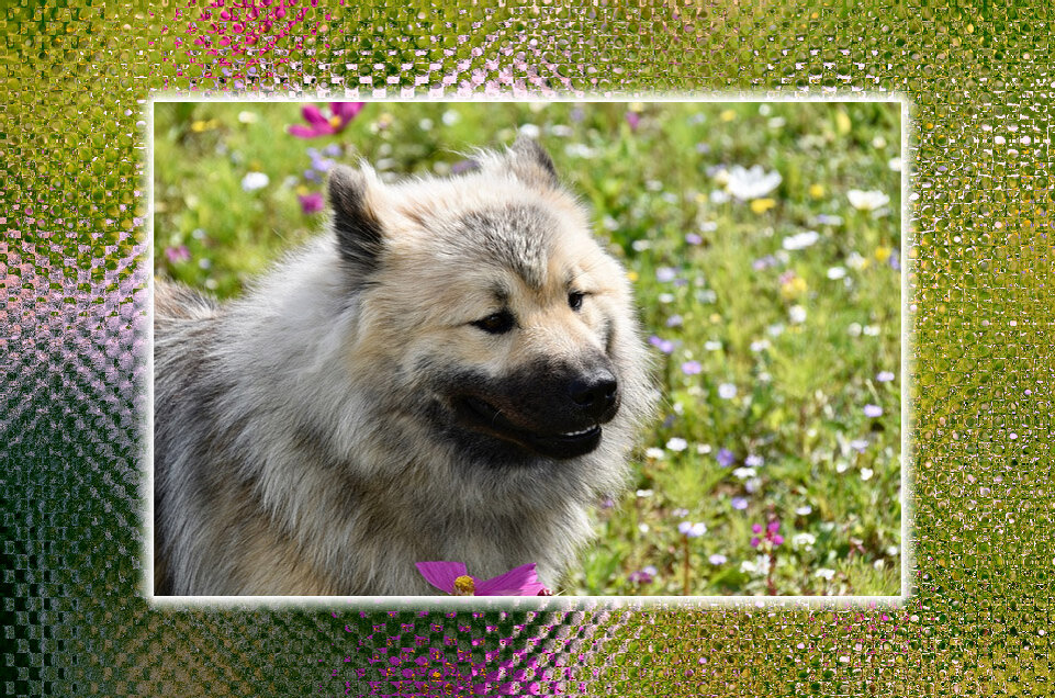 Фото с сайта Pixabay.com. Обработка автора