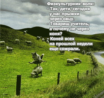 Волк-физкультурник