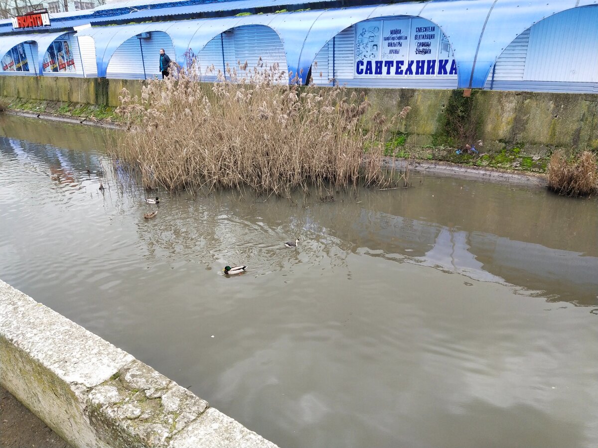 Яркий рынок рядом с лужей-рекой заросшей и полной мусора