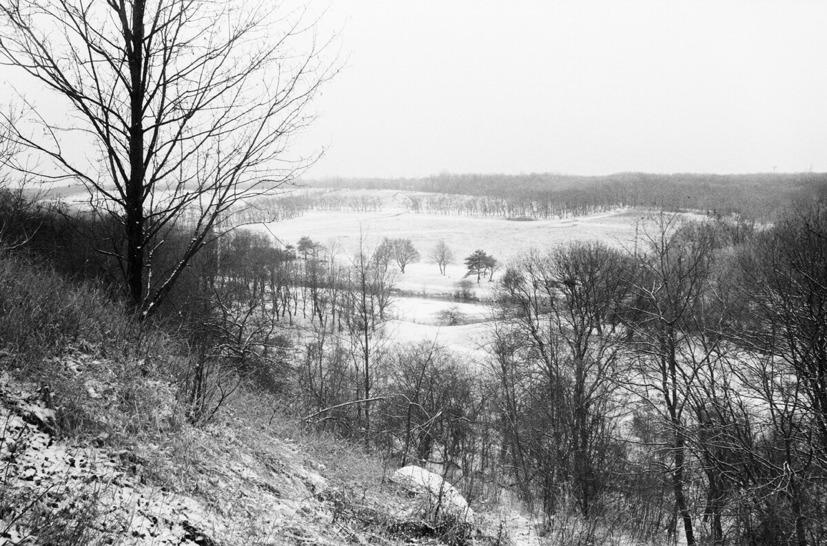                                          Fomapan 100@800 ISO-Developer (Microphen) 