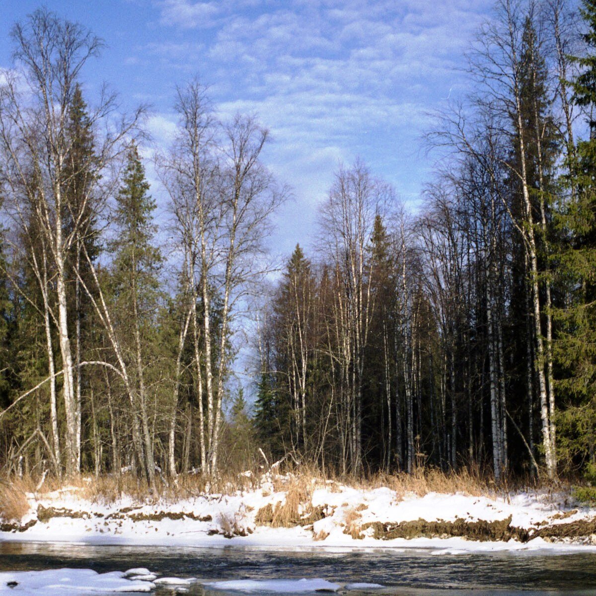 предзимье (фото автора)