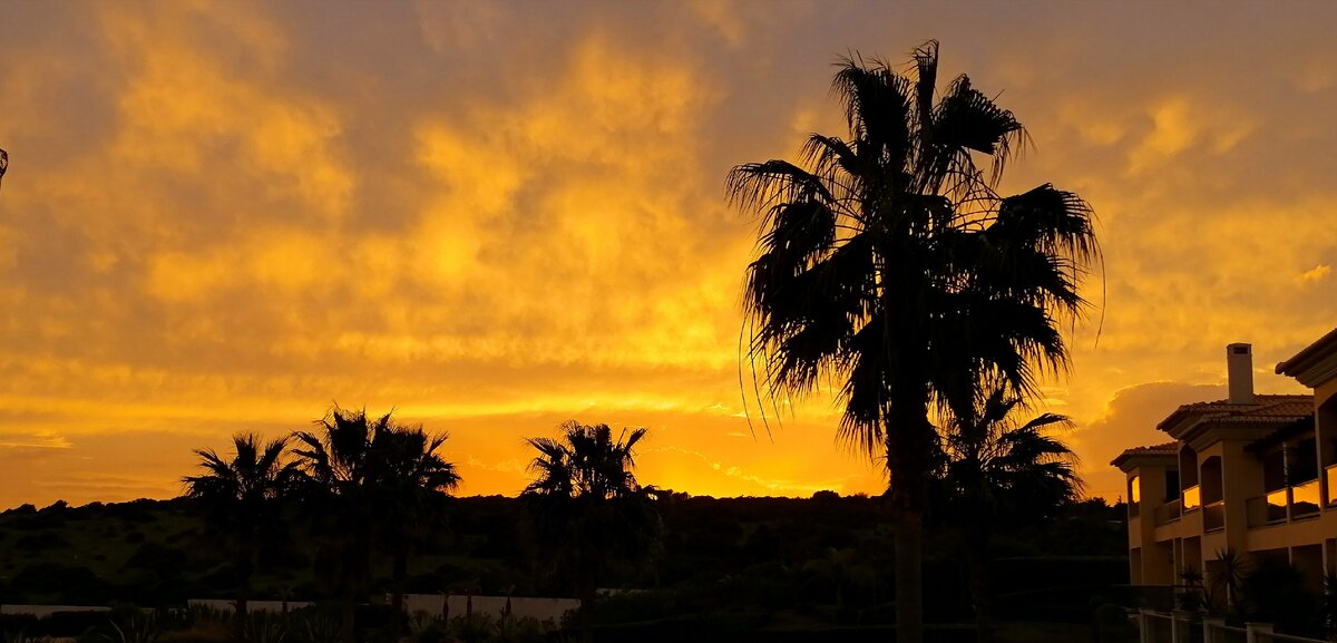 Фото сделано мной. Вчера небо полыхало на закате 