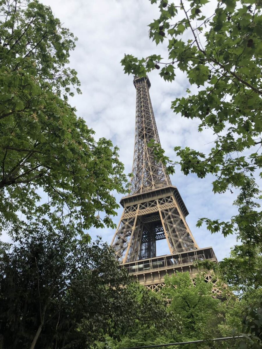 Фото из семейной фотогалереи автора.