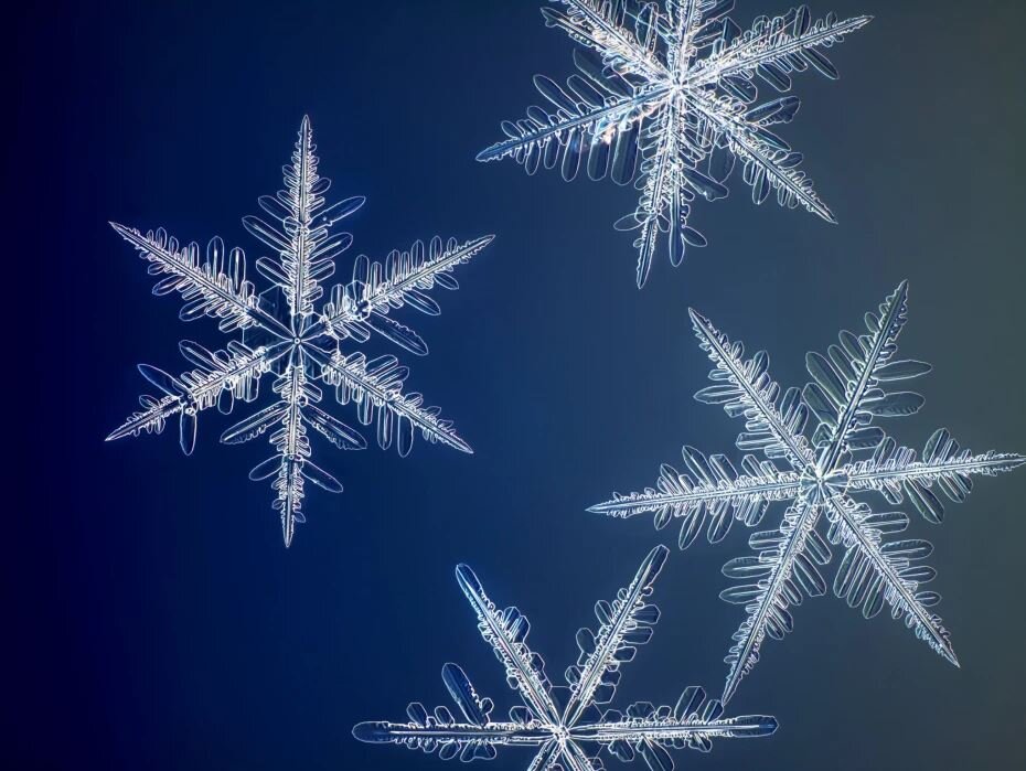 Одна из фотографий, сделанных специальной камерой. (фото: Натан Мирвольд / Modernist Cuisine)