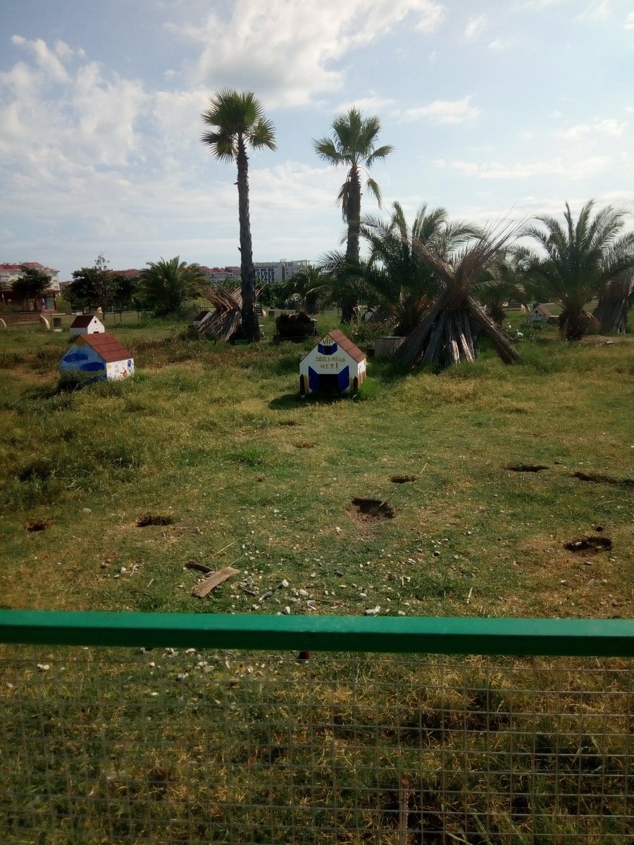 Вольер для кроликов. Вдали видны корпуса отеля "Бархатные сезоны"