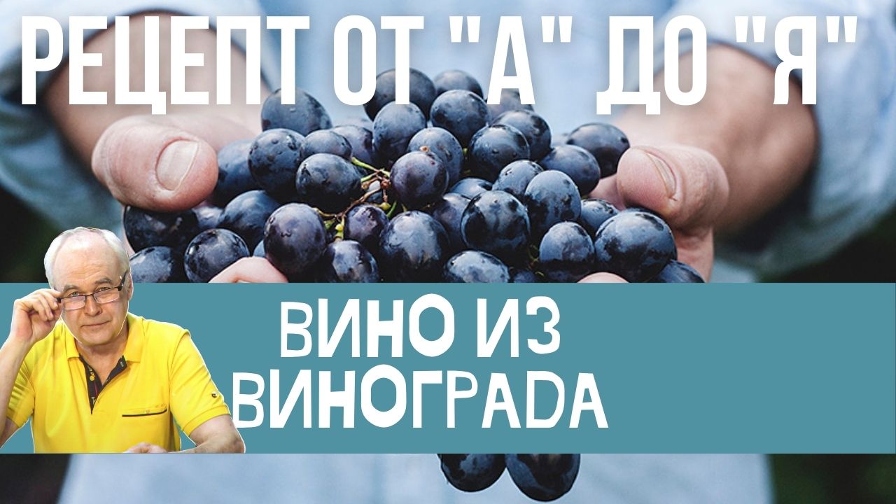 Вино из винограда. Домашнее виноградное вино за 7 шагов. Пошаговый рецепт.