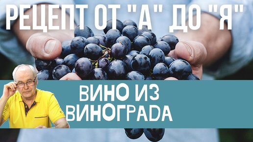 Tải video: Вино из винограда. Домашнее виноградное вино за 7 шагов. Пошаговый рецепт.