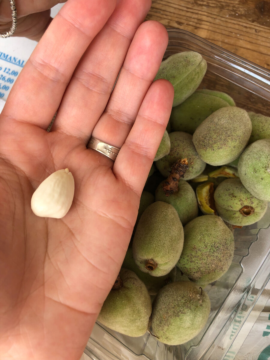 Свежий миндаль (зеленые плоды миндаля)