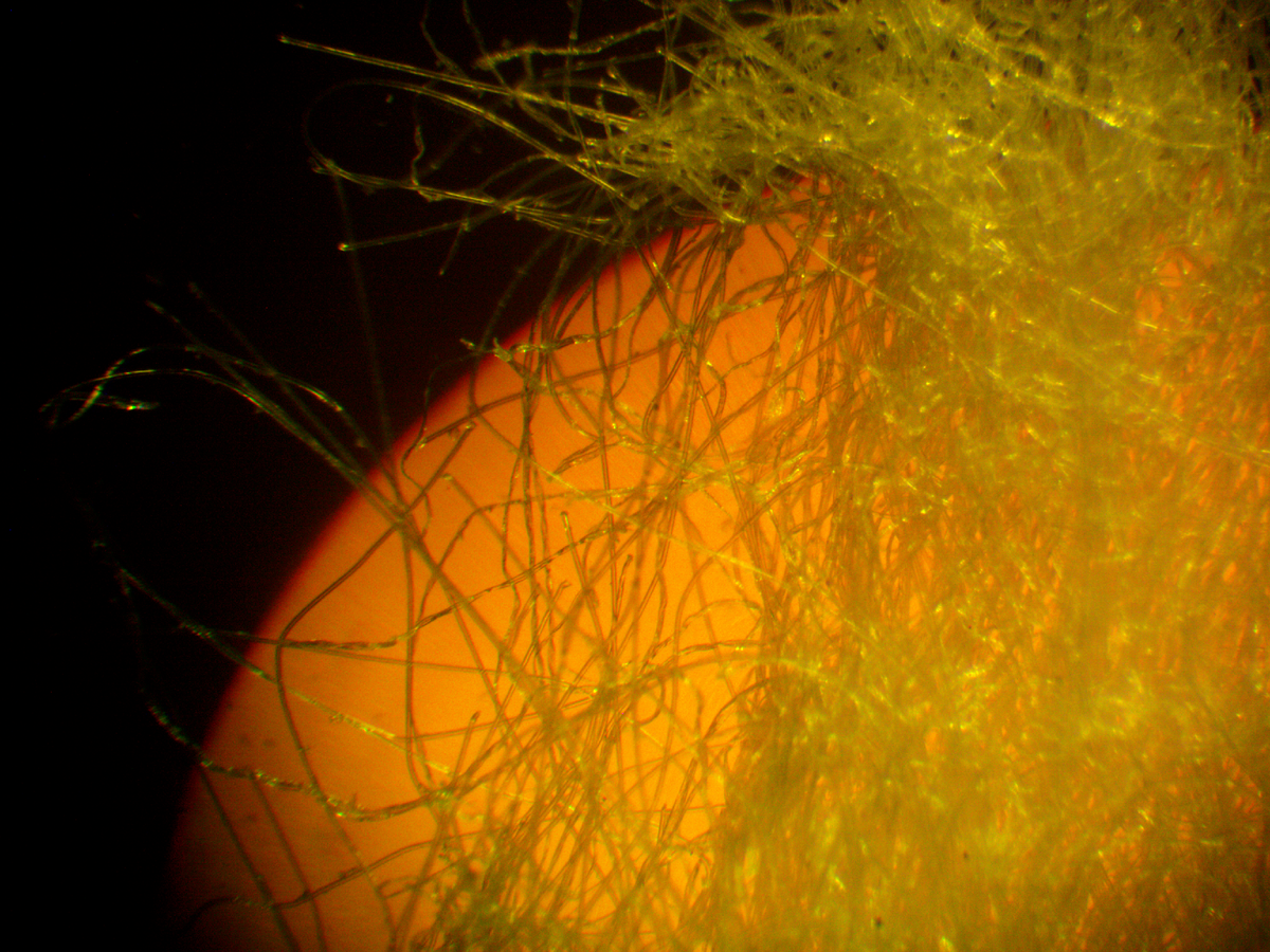 Так наверно видел Александр Македонский и Гордиев узел 