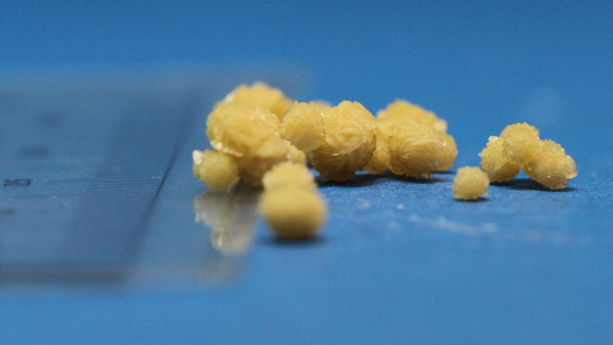 Какой Urinary корм для кошек лучше и почему эти корма могут привести к ...