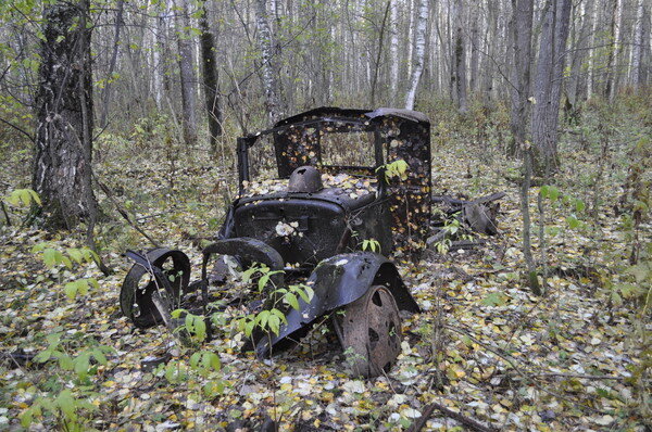 Вот такой я ее увидел
