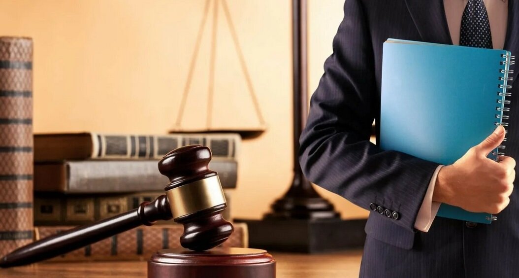 Адвокат - породы, повадки, как выбрать чтобы не жалеть | Первая ...