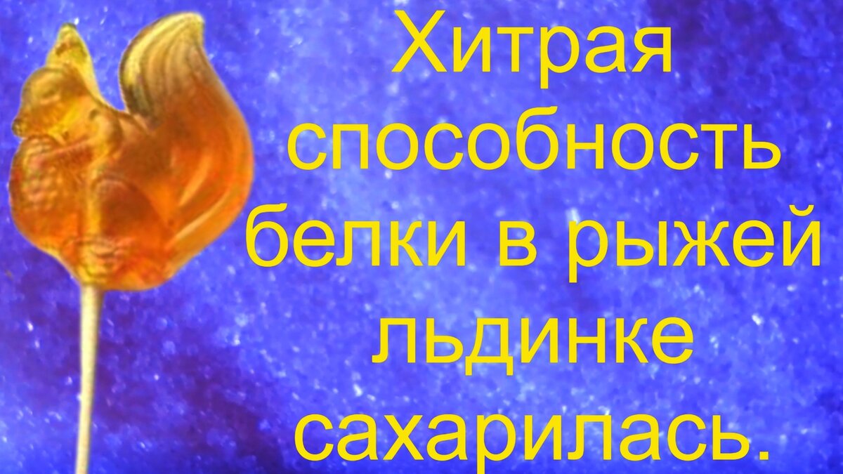 Леденцовая белочка