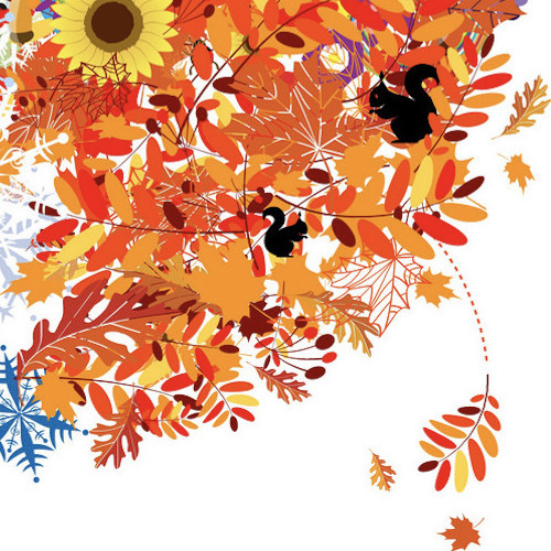 Третья Фаза День 13-15. Овуляция.
На эту фазу приходится пик плодности и сексуального желания. Это время, когда яйцеклетка вышла из фолликула и ждет сперматозоид в ампулярной части фаллопиевой трубы.
Если в течение первых 12-24 часов такая встреча не происходит, яйцеклетка погибает в течение суток и с помощью фаллопиевой трубы перемещается в матку.
Непосредственно перед овуляцией у некоторых женщин могут быть болевые ощущения внизу живота (от легких до сильных) которая проходит сразу после овуляции. Такие ощущения могут быть связаны с разрывом фолликула. Если они повторяются регулярно из цикла в цикл - это повод обратиться за обследованием к гинекологу. Такие ощущения могут быть как персональной особенностью, так и и одним из признаков изменений в тканях яичников.
__________________________________
Женщина. Лето.
Женщины излучают вокруг себя максимум энергии плодородности, секса. В этот период они наиболее притягательны для мужчин (как бы плохо они ни выглядили, даже не выспавшиеся, даже без макияжа). В период овуляции желательно совершать решительные действия.

Пик уровня эстрадиола в крови добавляет женщине яркости, внутренней притягательности и энергичности.
Энергичность женщины в этот период распространяется не только на секс, но и на все сферы жизни.
Важно правильно расставить для себя приоритете=ы и уделить внимание важным аспектам.
  Для тех, кто любой прилив сил и эмоций расходует на достижение цели и результата, часто отдавая себя полностью, полезными могут оказаться
Oak - для тех, кто любой ценой, не обращая внимания на препятствия, старается добиться своего и старается при это м не потерять лица
Elm - кто на пике энтузиазма берет, в прямом смысле взваливает на себя ответственность за группу (будь то работа или семья) и со временем чувствует, что не хватает уже никаких сил
Vervain - для самых страстных натур (и в деле, и в постели) кто знает как нужно и старается причинить добро окружающим. Иногда настолько рьяно, что это может пугать.
Эти цветы помогут размерить свои силы, направить их в нужное русло, причем экологично как для себя, так и для других
__________________________________
Внутреннее "полнолуние"
Сексуальная фаза
В этот период все эректильные части интимной системы женщины приведены в боевую готовность:
•	чтобы получать удовольствие легче и ярче,
•	чтобы доставить мужчине сильнейший оргазм и получить мощный, обильный выброс спермы.

* Кто-то из вас, девушки, которая не поверит, а кто-то знает по себе, но в период овуляции, а особенно, если он совпадает с полнолунием реальным женщина может настолько быть во власти своих инстинктов и сексуальных желаний, что некоторых мужчин это может даже пугать. А порой настораживает и саму женщину и в следующем цикле она может уже начать себя сдерживать.
Не бояться собственной страсти и проявлений, а умело ими управлять поможет Cherry Plum
__________________________________
КАК МОЖЕТ МУЖЧИНА ИСПОЛЬЗОВАТЬ ЭТОТ ПЕРИОД ДЛЯ УГЛУБЛЕНИЯ ВЗАИМОПОНИМАНИЯ?
Сексуальное желание женщины находится в зените. Это время секс-марафонов. Дикого животного секс. Женщин привлекают брутальные мужчины, альфа-самцы. То время, когда мужчина наиболее желанный и когда женщина от него будет получать самые крутые оргазмы!
* Почему же такая страсть некоторых мужчин пугает? Часто все очень просто объясняется или тем, что мужчина боится оказаться не на высоте (а этом случае поможет Larch) или утомлен физически проделанной работой - не сексом единым все же жив человек   (здесь поможет Olive) или же утомлен количеством заданий, мыслей и информации о том, что сделать только предстоит (при таком утомлении хорошо помогает Horbeam)
И пусть в это время все будет пронизано желанием!
____________________________________________
В публикации использован материал статьи сексолога Vyacheslav Shulgin "Менструация: прикладное значение для мужчин" snip.ly/n0z3pi
____________________________________________
указанные цветочные эссенции лучше принимать после консультации со специалистом, в любом случае для ситуационной скорой помощи - в неразведенном виде из флакона
Кроме того можно использовать соответствующие аффирмации healthbiology.online/emotions
