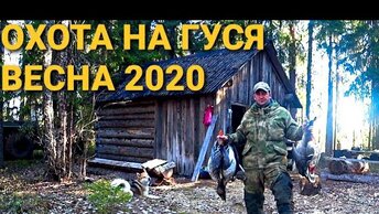 Охота на ГУСЯ и Селезня🦆 Весна 2020