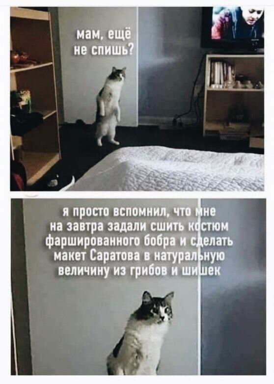 Известный мем из сети