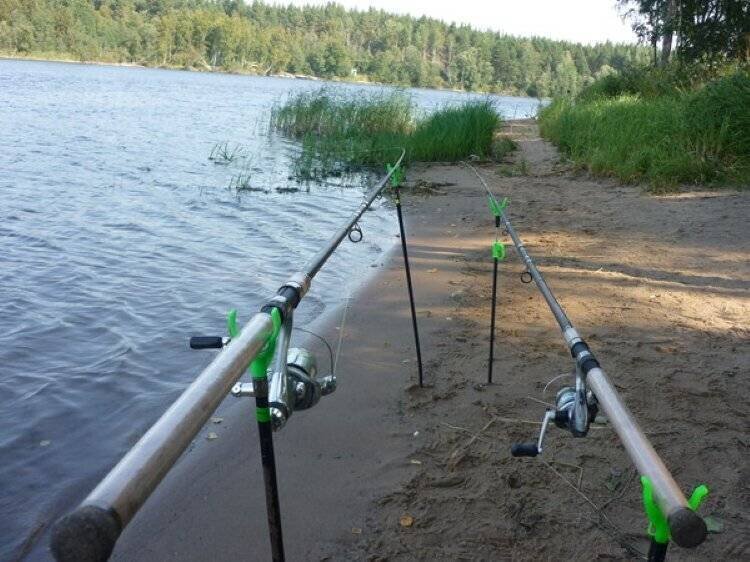 Фото с сайта: https://rybalka2.ru/wp-content