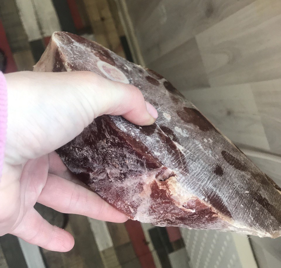 Оленина приехала:)