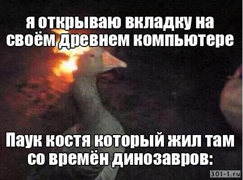 Жалко Костю :(