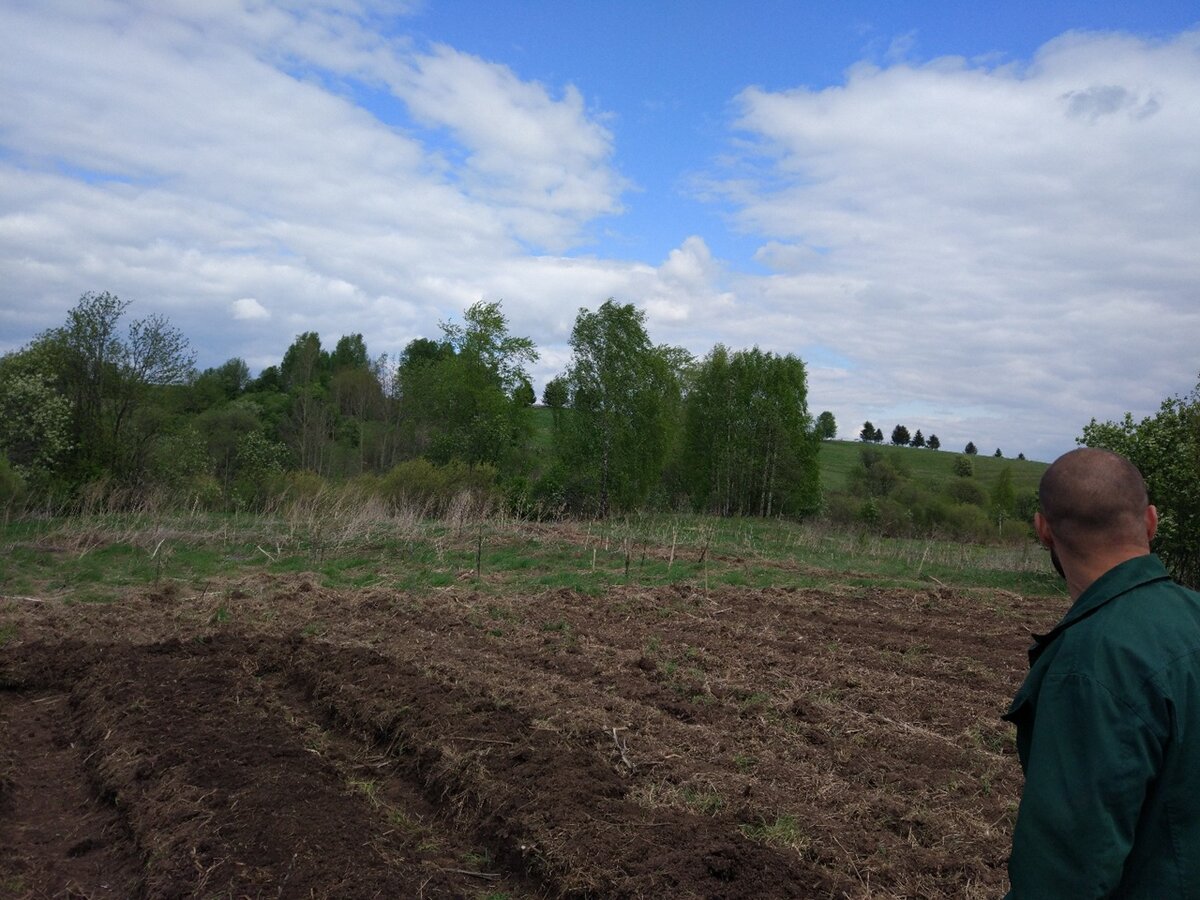 муж делает высокие грядки, на свеже перепаханом поле