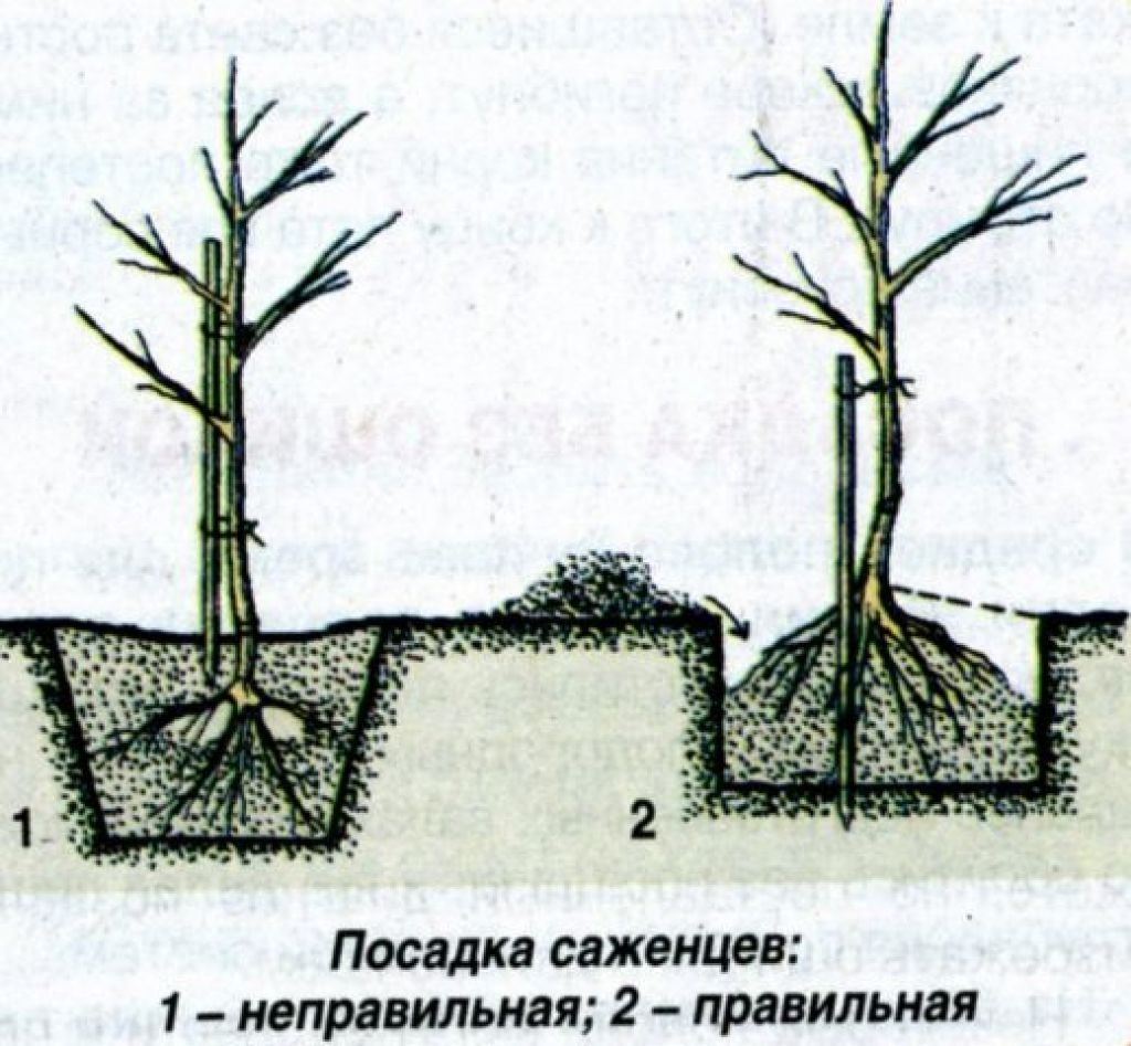 greenfieldparts.ru