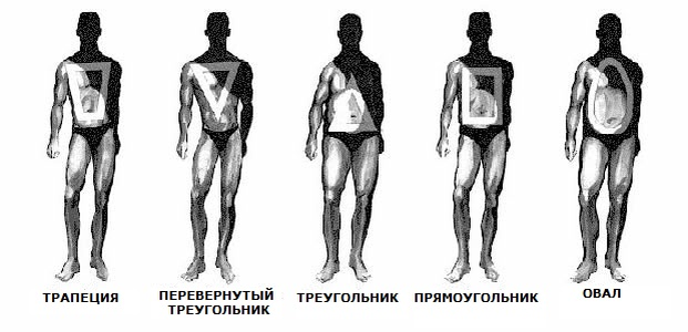 Подбираем одежду по типу фигуры