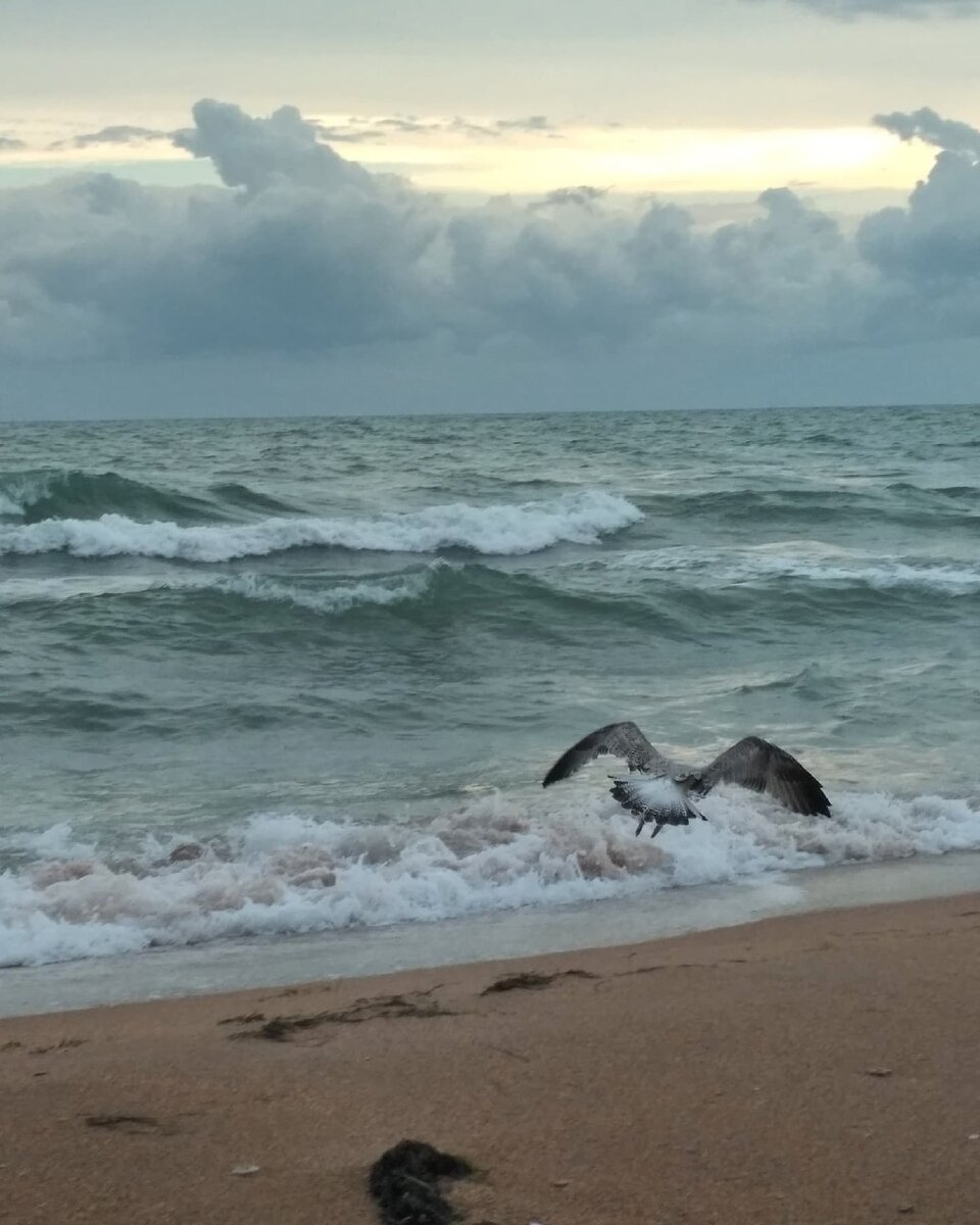Бугазская коса. Благовещенская. Анапа. Краснодарский край