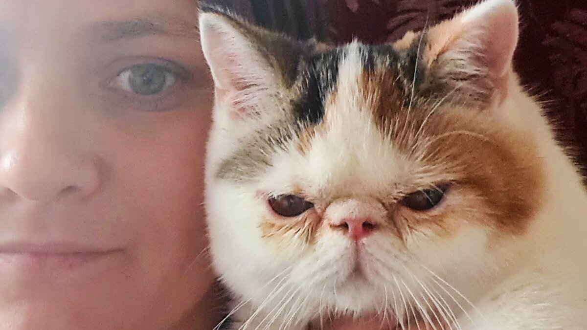 Милая мордашка