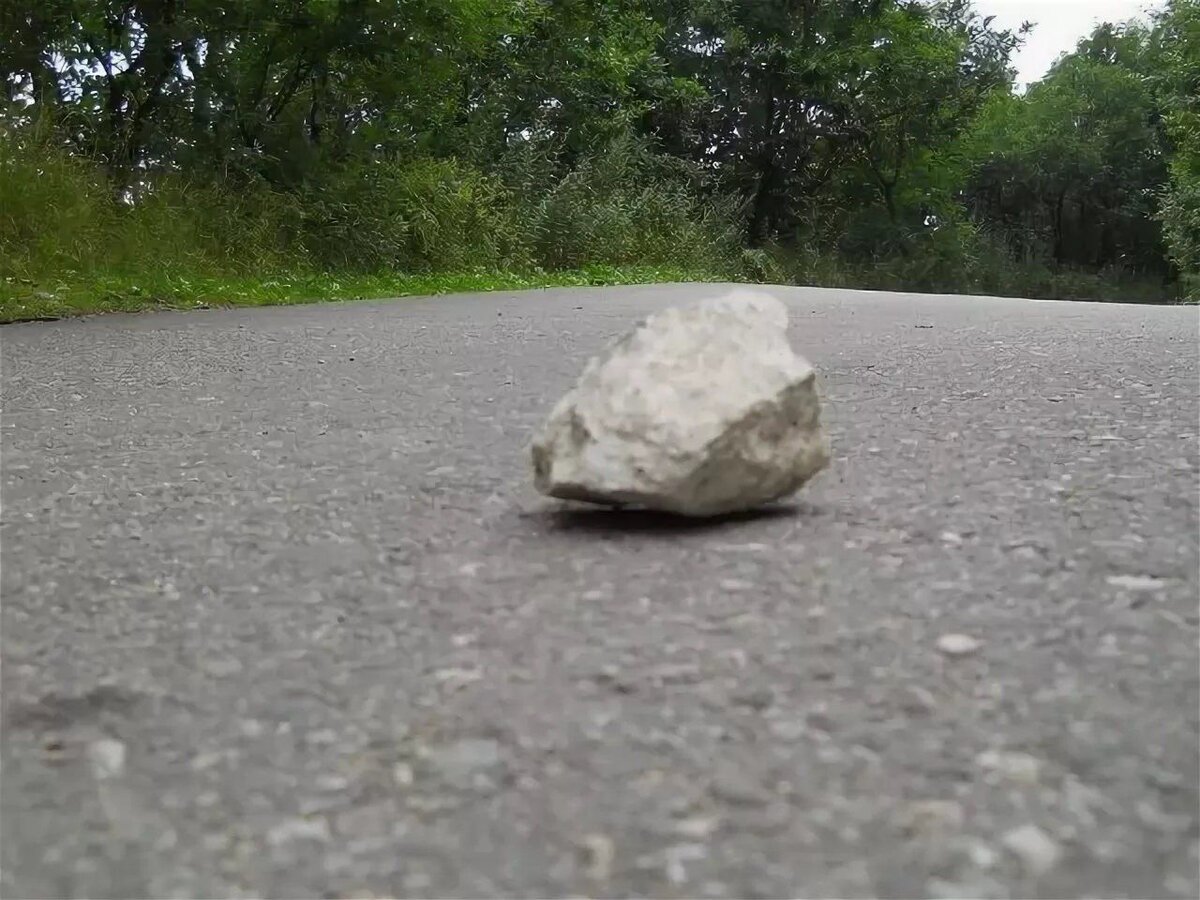 фото из открытого доступного источника сети интернет