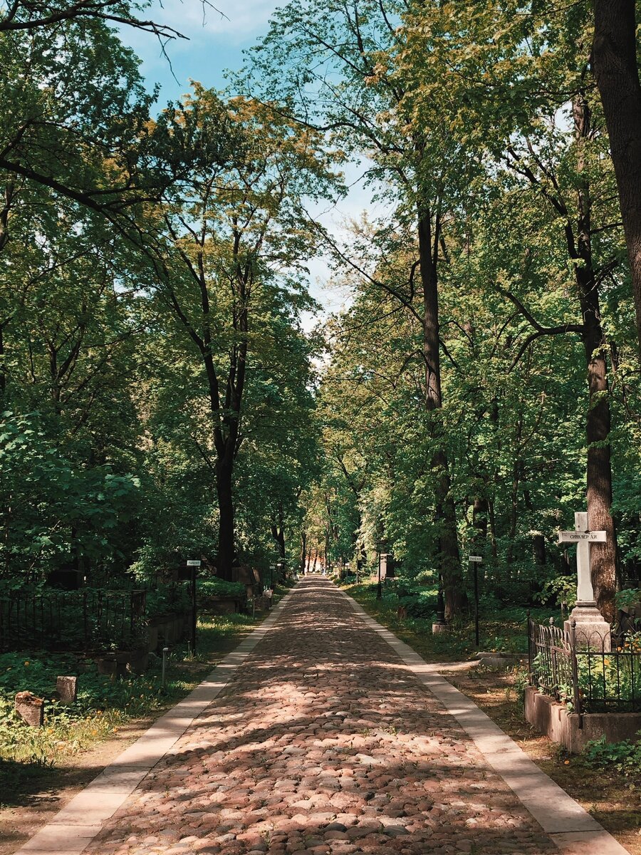 Главная дорожка Смоленского Лютеранского Кладбища.