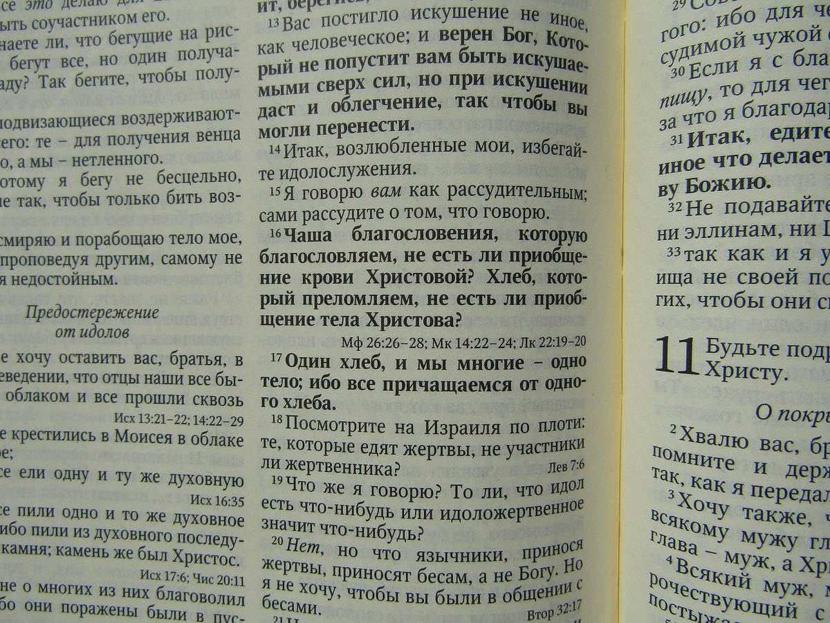 Фрагмент Первого послания к Коринфянам, глава 10.
Библия, юбилейное издание «Свет на Востоке»