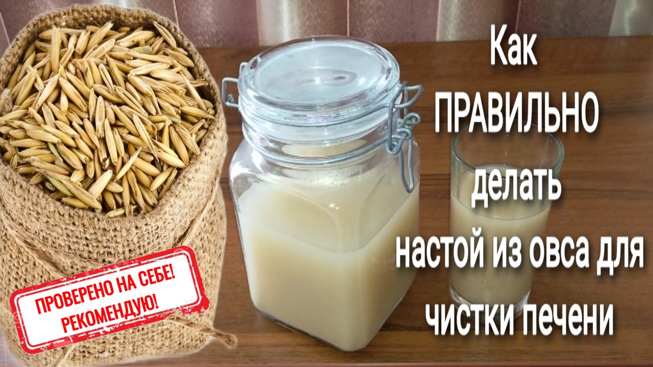 Овёс от всех недугов! Как правильно сделать настой из овса для чистки печени  и организма. Проверенный рецепт, отвар из овса | Наташа Копина | Дзен