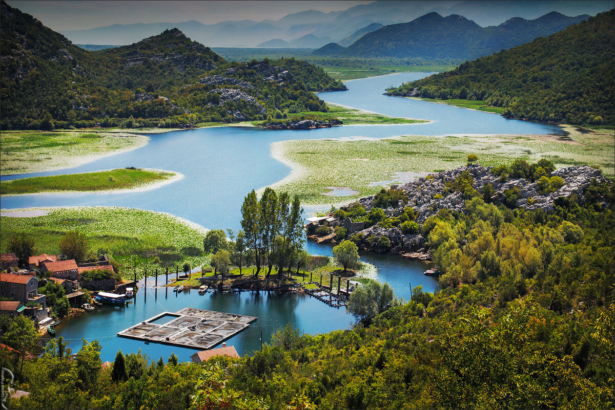 Национальный парк Скадарское озеро Черногория