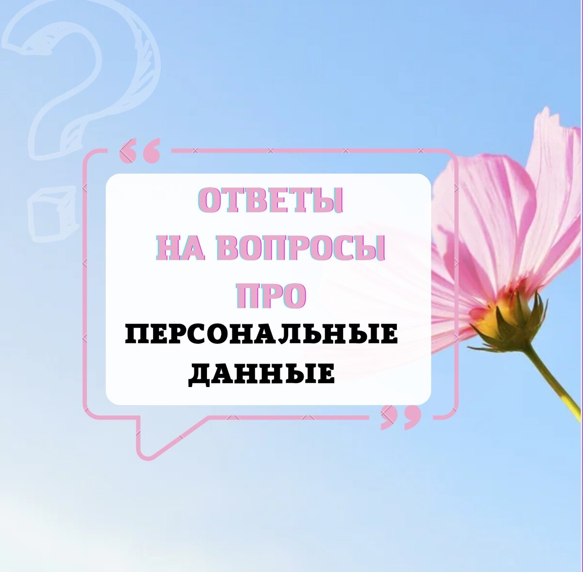 Персональные данные работников. Все, что интересует сотрудников и  работодателя. | Бухгалтером может стать каждый | Дзен